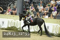24R13_12755 thumbnail