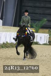 24R13_12760 thumbnail