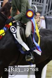 24R13_12768 thumbnail