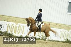 24R13_12769 thumbnail