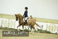 24R13_12771 thumbnail