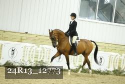 24R13_12773 thumbnail