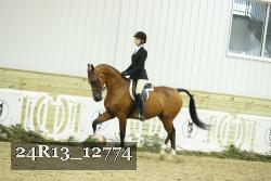 24R13_12774 thumbnail