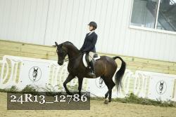 24R13_12786 thumbnail