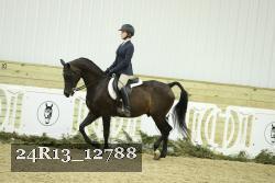 24R13_12788 thumbnail