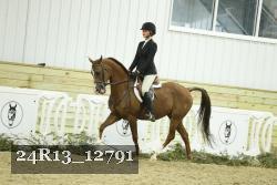 24R13_12791 thumbnail