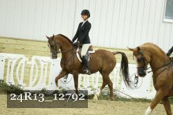 24R13_12792 thumbnail