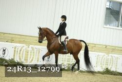 24R13_12799 thumbnail