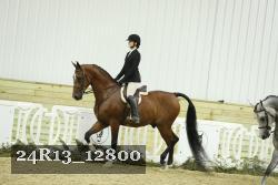 24R13_12800 thumbnail