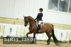 24R13_12801 thumbnail