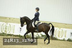 24R13_12803 thumbnail