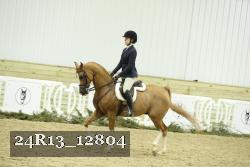 24R13_12804 thumbnail