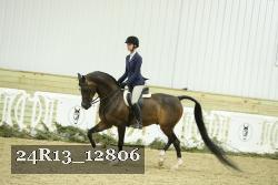 24R13_12806 thumbnail