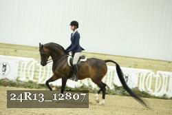 24R13_12807 thumbnail
