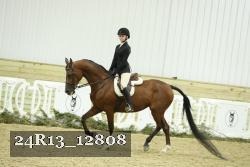24R13_12808 thumbnail
