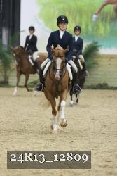 24R13_12809 thumbnail