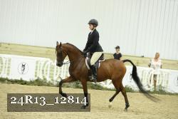 24R13_12814 thumbnail