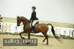 24R13_12815 thumbnail