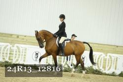 24R13_12816 thumbnail