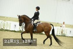 24R13_12817 thumbnail
