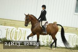 24R13_12824 thumbnail