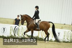 24R13_12825 thumbnail