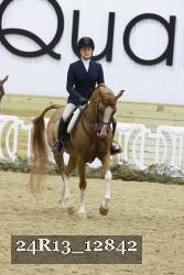 24R13_12842 thumbnail