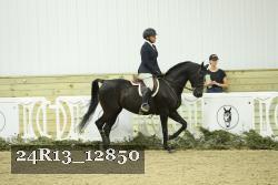 24R13_12850 thumbnail
