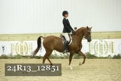 24R13_12851 thumbnail