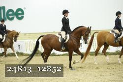 24R13_12852 thumbnail
