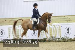 24R13_12859 thumbnail