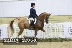 24R13_12860 thumbnail