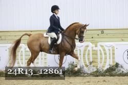 24R13_12861 thumbnail