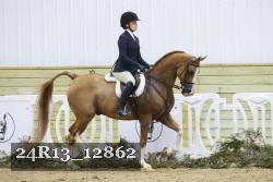 24R13_12862 thumbnail