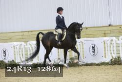 24R13_12864 thumbnail