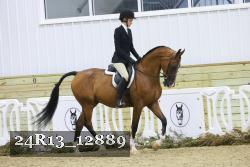 24R13_12889 thumbnail