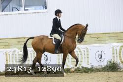24R13_12890 thumbnail