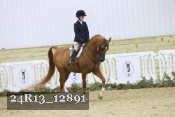 24R13_12891 thumbnail