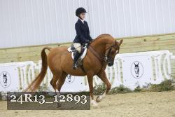 24R13_12893 thumbnail