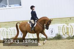 24R13_12894 thumbnail