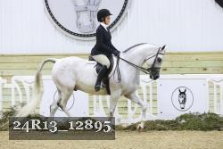 24R13_12895 thumbnail
