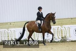 24R13_12896 thumbnail