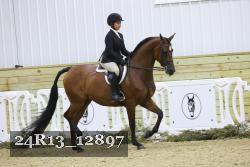 24R13_12897 thumbnail