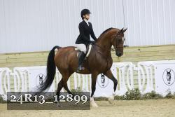 24R13_12899 thumbnail