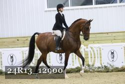 24R13_12900 thumbnail