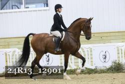 24R13_12901 thumbnail