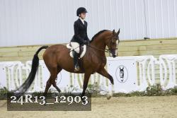 24R13_12903 thumbnail