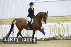 24R13_12904 thumbnail