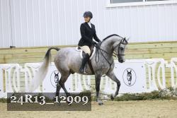 24R13_12909 thumbnail