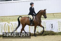 24R13_12912 thumbnail